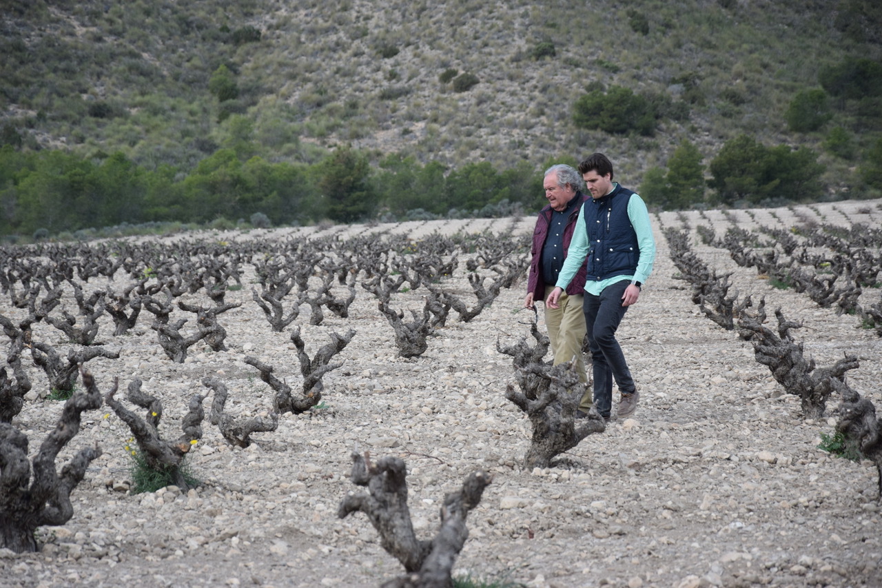 Bodegas Alceño Jumilla